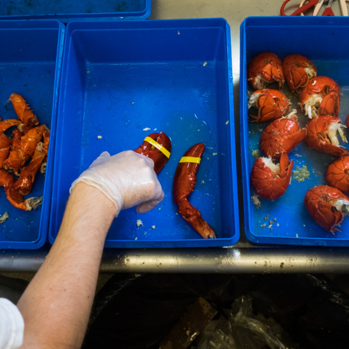 Documentary Photographer - Lobster Rolls of Kennebunkport, Maine